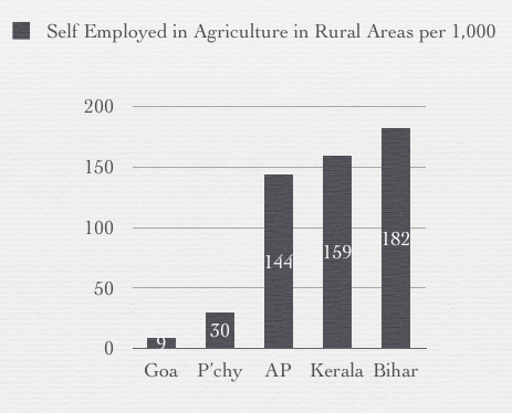 Self Employed Rural Agriculture