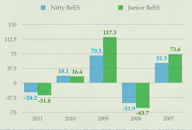 Calendar Year Returns Nifty BeEs  and Junior BeES